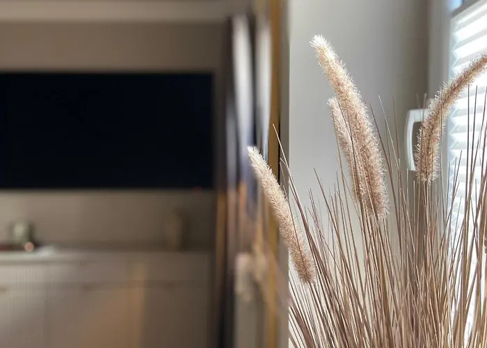 Weiden Design In Eimsbuettel *